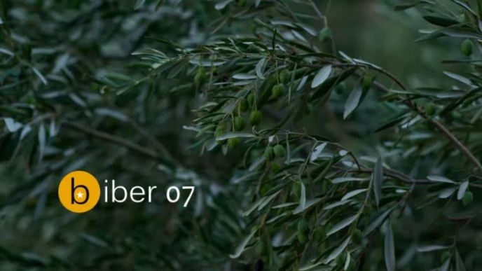 Konkurs za kratku priču